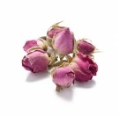 Roseknopper - rosa thumbnail
