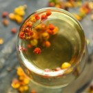 Albizia – He Huan Hua thumbnail