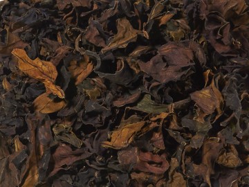 Organic Coffee Leaf Tea – Bourbon Natural Leaf
